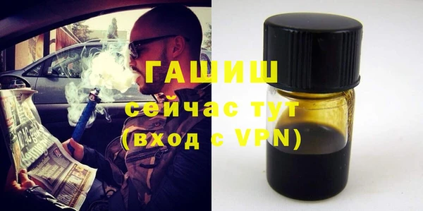 индика Богородск