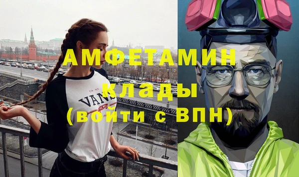 индика Богородск