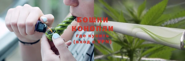 амф Богданович