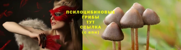 экстази Апатиты