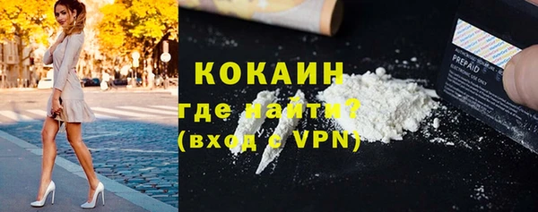 индика Богородск