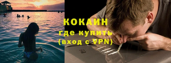 индика Богородск