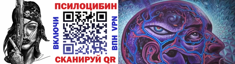 блэк спрут зеркало  Козьмодемьянск  Галлюциногенные грибы Cubensis 
